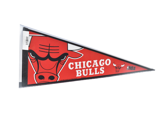 Chicago Bulls Cloth Pennant