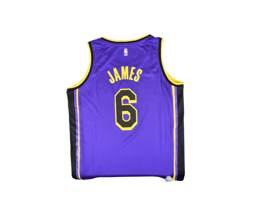Lebron James Los Angeles Lakers Fanatics Youth Purple Jersey