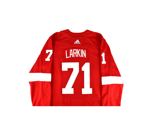 Dylan Larkin Detroit Red Wings Authentic Adidas Red Jersey*